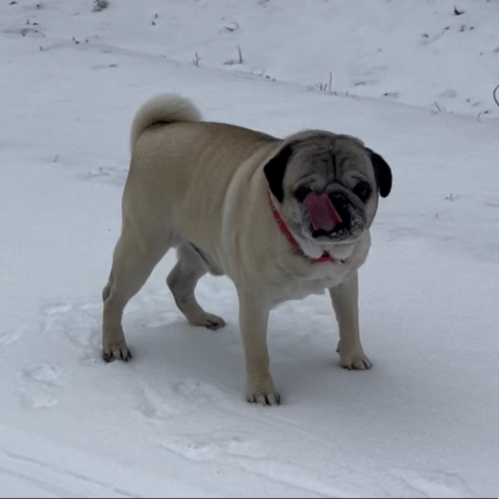 Meet your Posher, Jonathan